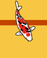 Haupthema Koi