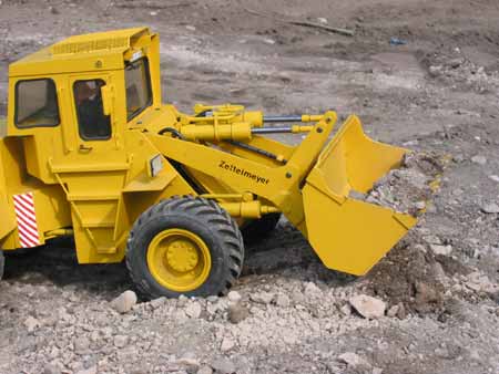 sieht aus wie ein Großer