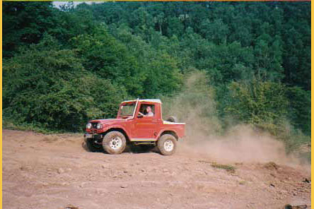 Bergziege